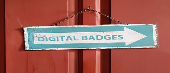 Badging the Library, Part 1: What and Why